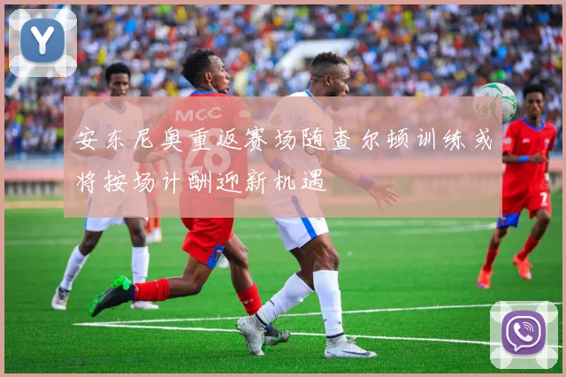 安东尼奥重返赛场随查尔顿训练或将按场计酬迎新机遇