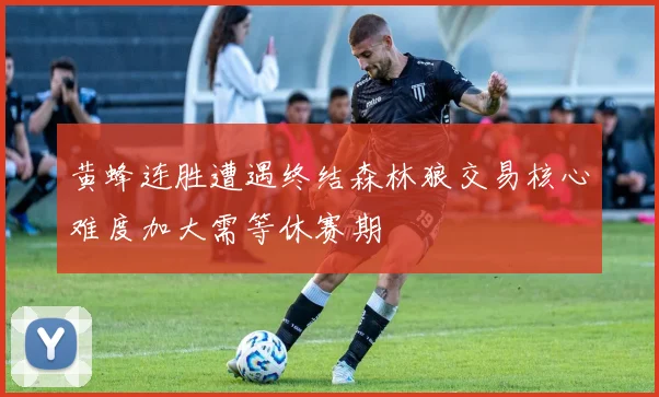 黄蜂连胜遭遇终结森林狼交易核心难度加大需等休赛期