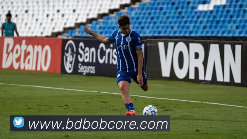 BOB半岛平台生态图